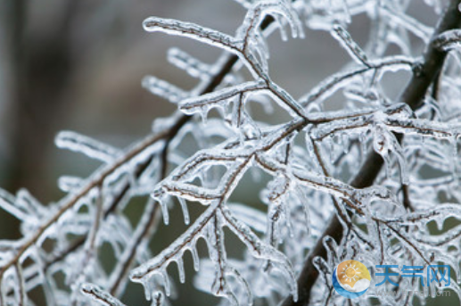 雨夹雪是怎么形成的 雨夹雪和雪的区别