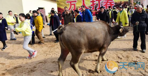 2019年的打春是春节前还是后 2019年打春是什么时候