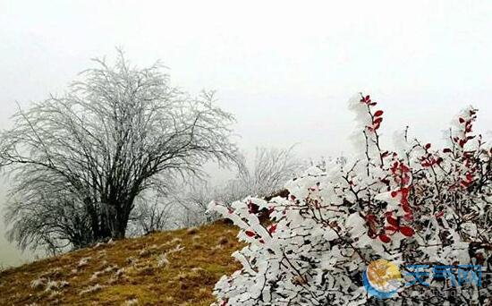 今明重庆局地仍有雨夹雪 全市最高气温仅9℃