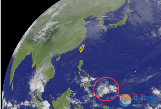 2019台风蝴蝶最新预测 生于赤道附近这个台风可能转不起来