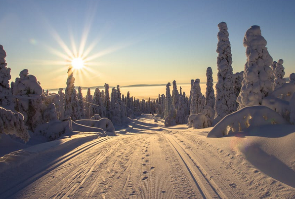 芬兰冬天冷吗 芬兰冬天有多冷穿什么衣服