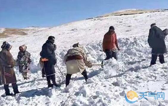 青海省三江源特遭遇雪灾 省内多路段积雪结冰严重