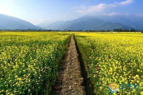 台湾台东县4.7级地震怎么回事？台北高雄多地震感强烈