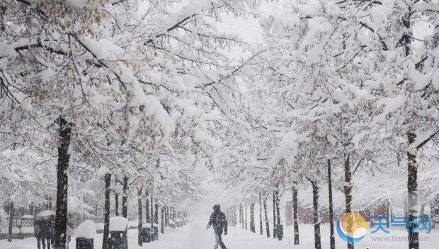 暴雪蓝色预警解除：降雪强度减弱但河南安徽仍有大雪