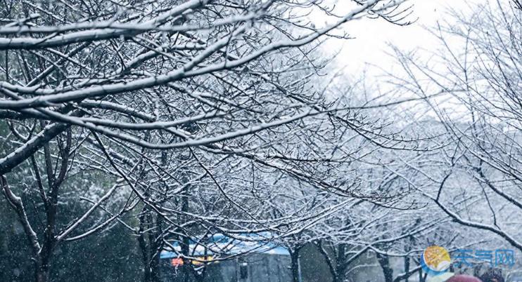 江苏南京迎2019年首场雪 南京街头雪景美丽影响交通