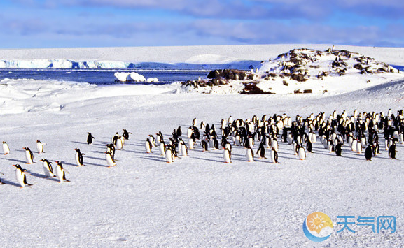 2020年春节南极旅游线路 春节南极旅游价格及注意事项