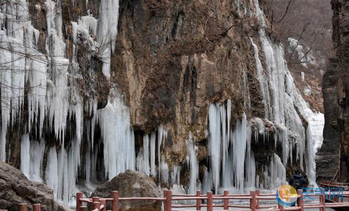 河南云台山瀑布被冻住 冰瀑景观奇特壮美