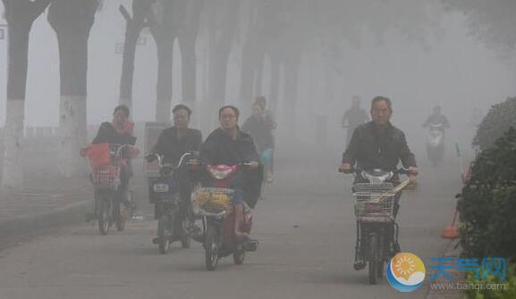 河南省发布大雾黄色预警 省内大部高速交通管制