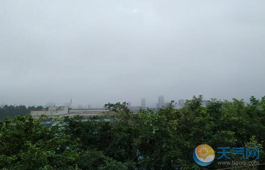 海南多地发布大雾预警 周末全岛多云为主