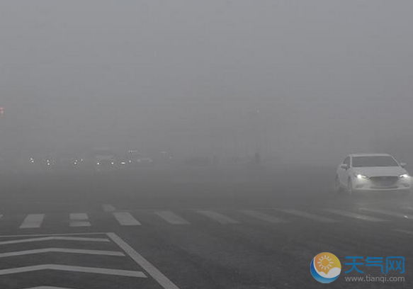河北雾霾能见度不足200米 部分高速封闭航班延误