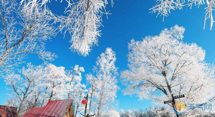 吉林抚松县雾霾消散现雾凇奇景 树枝晶莹蓝天相伴