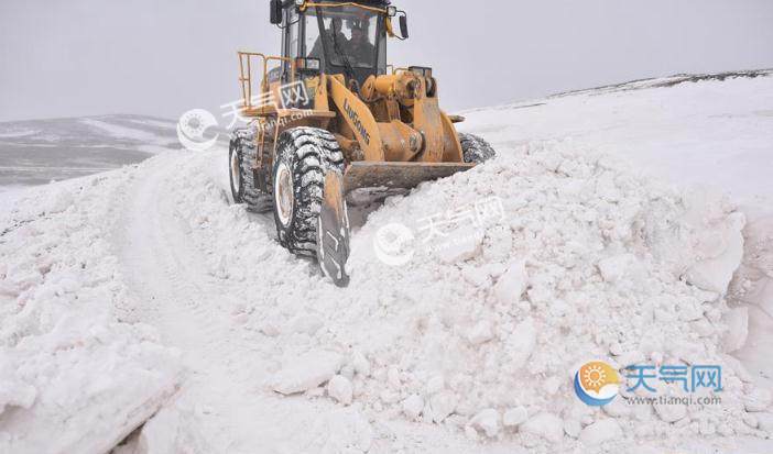 实拍青海玉树雪灾救灾现场 30万亩草场供灾民使用