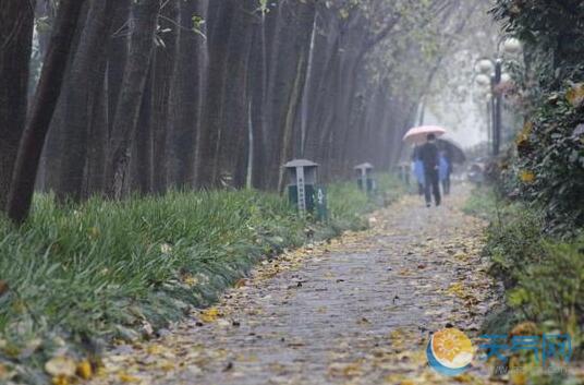 今明重庆依旧阴雨绵绵 局地气温仅有14