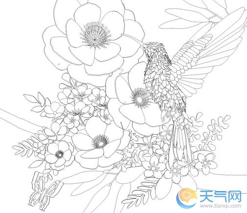 春分节气简笔画 卡通24节气春分简笔画图汇