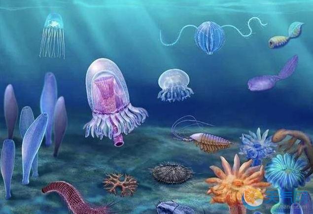 湖北宜昌现清江生物群 距今5.18亿年属突破性发现