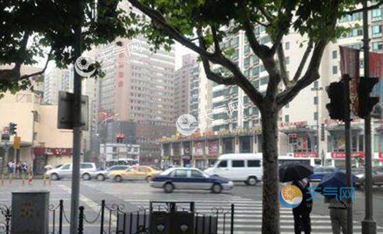 上海中心气象台:今年4月全市降水量较常年