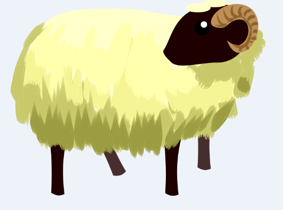 2019年属羊的今年多大 属羊的人2019年多少岁