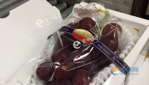 日本高级葡萄一串120万日元 等于你吃一颗