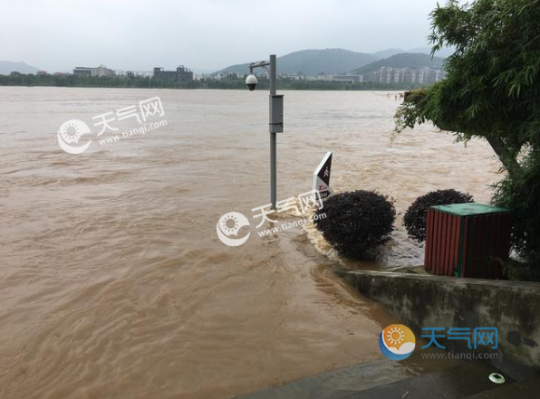 洪水来袭湖南橘子洲被淹 几米高路灯看不见灯杆