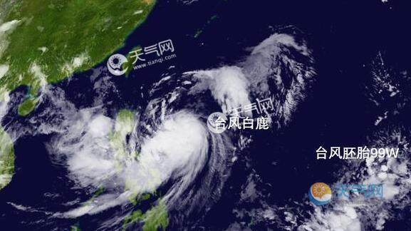 11号台风“白鹿”进48小时警戒线 福建已启动台风应急响应