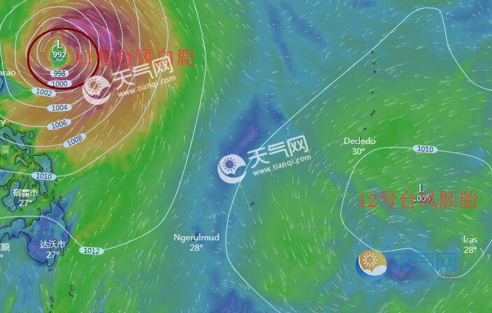 2020年12号台风最新消息 台风杨柳将生成或现“双台风”现象