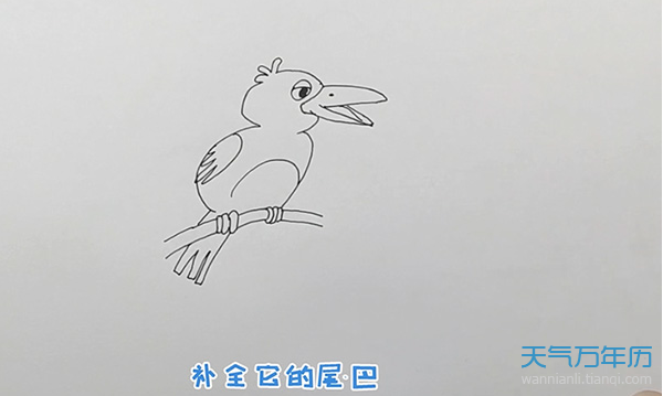 乌鸦简笔画怎么画乌鸦的简笔画步骤图解教程