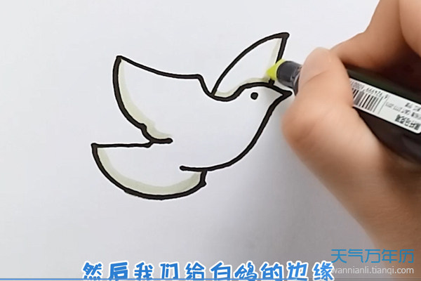 白鸽简笔画怎么画白鸽的简笔画步骤图解教程