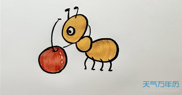 小蚂蚁简笔画怎么画小蚂蚁的简笔画步骤图解教程