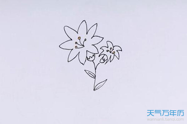 花草简笔画怎么画 花草的简笔画步骤图解教程