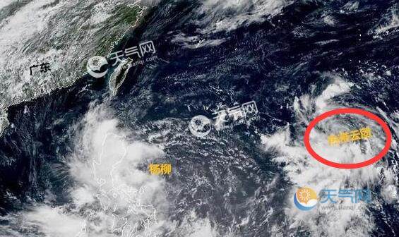 今年第13号台风最新消息 台风“玲玲”预计下周生成