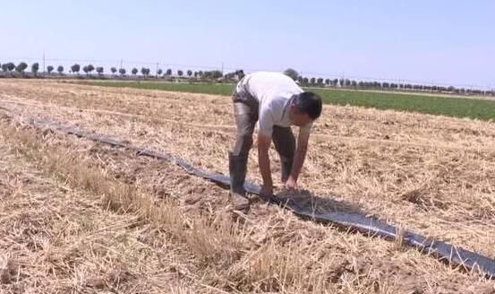 未来10天湖北晴热少雨气温38℃ 森林火险等级较高需防范