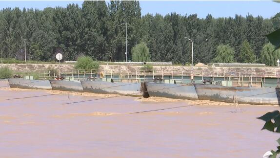 黄河汛期水位上涨明显 山东全部拆除境内54处黄河浮桥