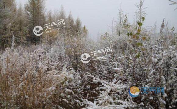 黑龙江发布霜冻大风蓝色双预警 局地气温降至8℃以下
