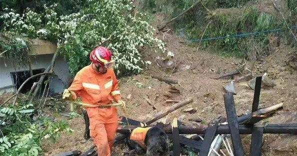 国庆节前冷空气袭击云南 西部西北部有中到大雨