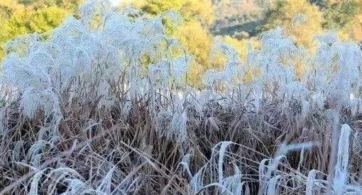 冷空气即将袭击新疆 中东部大部天气晴暖