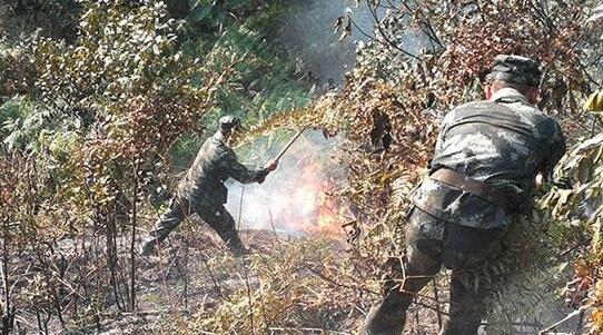 湖南衡阳一山村发生森林火灾 目前明火基本扑灭