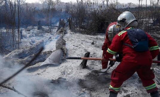 玻利维亚火灾致200万只动物死亡 当局出动5000名救火人员灭火