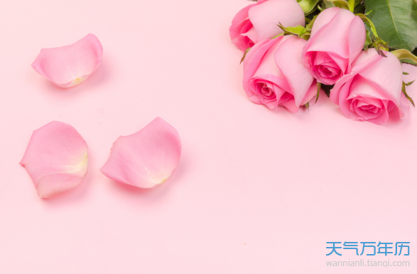 粉色玫瑰花语是什么意思 粉红色的玫瑰代表什么意思