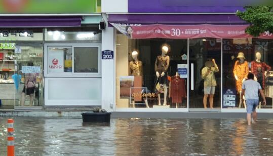 台风“米娜”登陆致韩国6人死亡 超过4.4万户家庭断电
