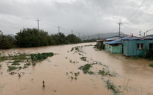 台风“米娜”登陆致韩国6人死亡 超过4.4万户家庭断电