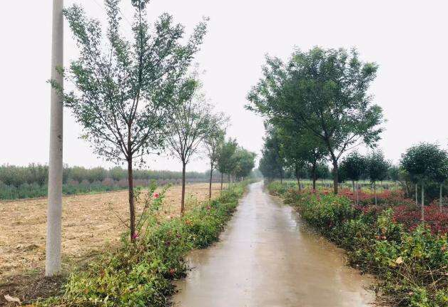 寒露节气冷空气增多 中东部降温四川陕西等地多雨