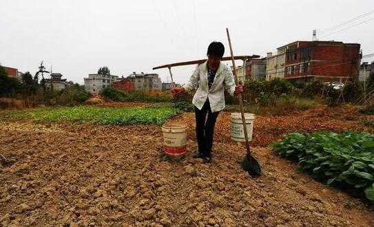 江西九江发布干旱红色预警 多个村庄居民用水告急