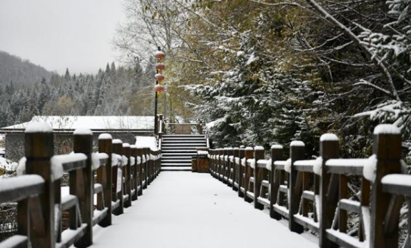 2019雪乡迎来深秋第一场雪 积雪达到5厘米比去年提前两天