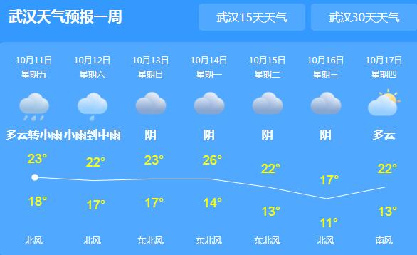 湖北降雨将持续到15日 省会武汉白天气温仅23℃