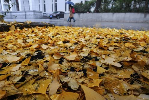 两股冷空气先后袭击北方 西南地区和湖北湖南多雨水