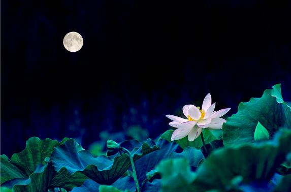 关于月亮的诗句 月亮的浪漫爱情诗句有哪些