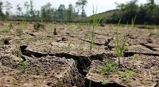 今年福州降雨较常年同期偏少59.6% 连江闽清等地干旱严重