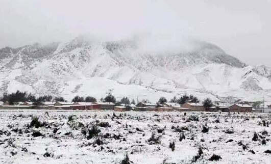 兰州西固区道路积雪严重 当地20余名志愿者清雪保出行