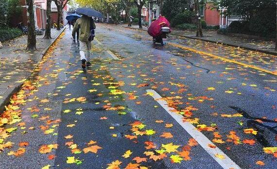 山东西北部仍有小雨天气 省会济南局地气温仅18℃