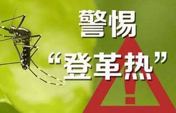 2019防蚊灭蚊宣传标语 防蚊灭蚊18个小妙招